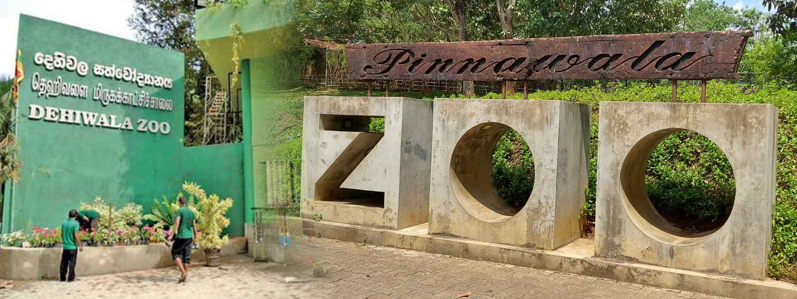 තාවකාලිකව වැසූ සත්වෝද්‍යාන යළි විවෘත කෙරේ..